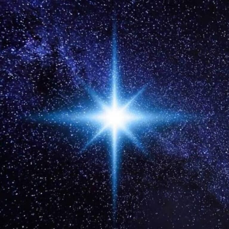 القناة الجماعية للتنظيفات blue pearl